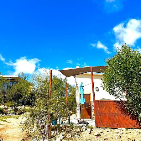 Hotel Oasis 444 San Marcos  Exterior foto